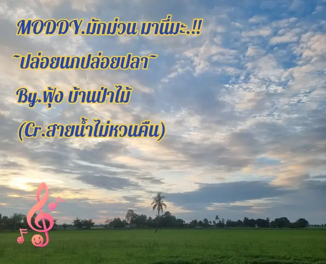 #เพลงเพราะโดนใจ #เพลงม่วน #crเจ้าของเสียง #คนชอบฟังเพลง #เพื่อความบันเทิงเท่านั้น 