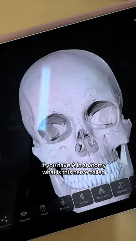 #easyanatomy #medicine #anatomy 