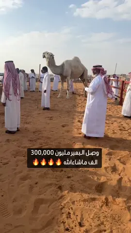 #الابل_عطايا_الله_عشاق_البداوة_🐪😍 #مالي_خلق_احط_هاشتاقات #الشعب_الصيني_ماله_حل 