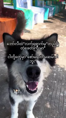 #အဲ့တာအချစ်တဲ့လား🤷🏻#ဘယ်မှာလဲတကယ်ချစ်ပါတယ်ဆိုတဲ့သူ#fyppppppppppppppppppppppp #fypシ゚viral #fypပေါ်ရောက်စမ်း😒👊🏻မရောက်လည်းနေ🥴 