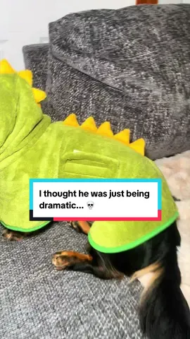 The side eye was fully justified 🦖😭 I spent 10 minutes offering treats before I realized....Check the link below to get the dino towel (just make sure you check the velcro first) 👇#dachshundsoftiktok #dogmumfail #dachshundproblems #funnydogvideos #tiktokshopfinds   