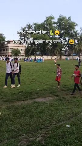 সবগুলাই নাগিন 🐍😫You mean 