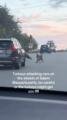 #salem #salemmassachusetts #massachusetts #ma #massachusettstiktok 