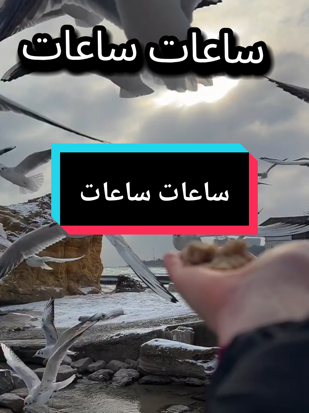 ساعات، ساعات ساعات، ساعات أحب عمري وأعشق الحاجات ساعات، ساعات أحب عمري وأعشق الحاجات ساعات، ساعات ساعات، ساعات أحب عمري وأعشق الحاجات ساعات #الحب #العشق #for #fyp #foryoupage❤️❤️ @العربي 2 @MAJID AZIZ 