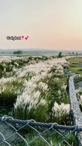 #gaighatmuser🇳🇵 #unfreez #freez#foryou #sand3sh