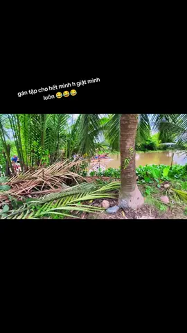 #xhuongtiktok mai 19/9 òi nek # có ai qua hem #😂😂😂 #xhtiktok #xhuongtiktok #xhuongtiktok 