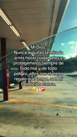 Mi Dios: Nunca le quites la mirada a mis hijos, cuidamelos y protégemelos siempre de todo mal y de todo peligro, ellos son el mejor regalo que tengo, son mi bendición eterna.🥹🙌🏻❤️‍🩹 #hijos #loveofmylife💕💙 