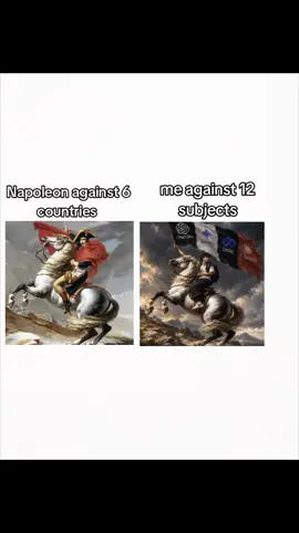 #viral #fyp #pyp #school #napoleon 