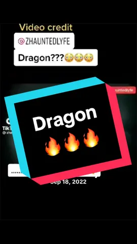 😳#paranormal #unknown #scary #creepy #dragon