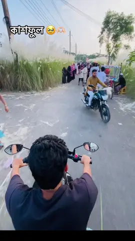 #কাশফুল🥹🫶🏻 #viralvideo #foryou #creatorsearchinsights #creativesocialmediacontentideas 