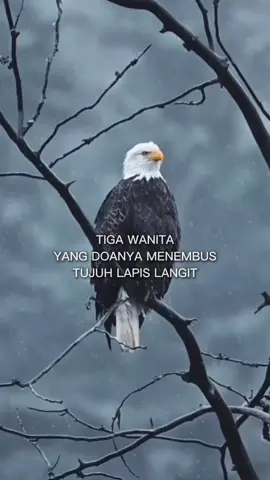 #storyanakrantau45 