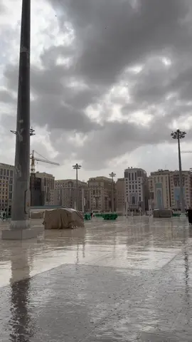 #المدينة_المنورة 