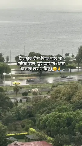 ঠিকঠাক বাঁশ দিতে পারে না দেইখা বলে, তুই আগের থেকে চালাক হয়ে গেছিস।🙂🙏#foryou #tiktoknews #foryoupage #foryoupageofficial #unfrezzmyaccount 