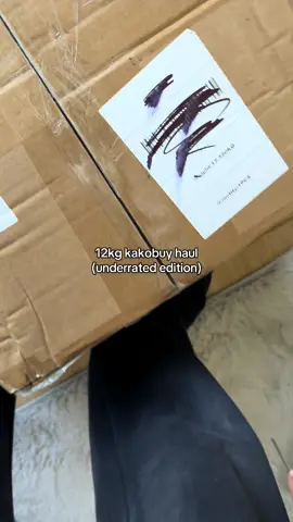 12kg haul #kakobuy #kakobuyhaul #finds #haul #larp 