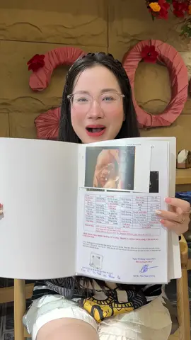File lá đựng giấy tờ siêu âm mẹ bầu 