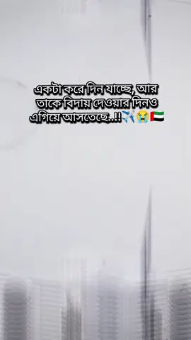 কিভাবে থাকবো আমি তাকে ছাড়া,ভাবলেই ভিতরট মোচড় দিয়ে ওঠে..!!😭✈️🇦🇪#দুবাই_প্রবাসীর_বউ✈🇦🇪✈️ #happy_all💖 #tiktokviral #foryoupage #ফরউইতে_দেখতে_চাই @TikTok Bangladesh 