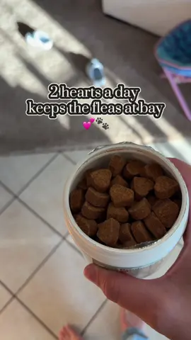 Furry friend wellness has never been easier 👌 #fleaandtickprevention #petproducts #pethealth #petwellness #dogtreats 