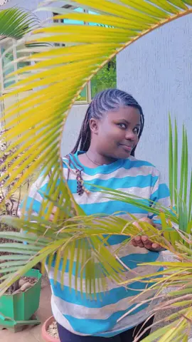 People on abanonya ku BUKEDDE TV be like🤣🤣🤣