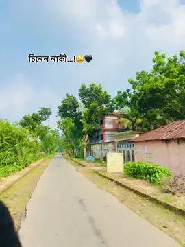 চিনেন নাকী…!😩🖤 #foryoupage #vairal #fypシ #copylink #gobindhagonj 