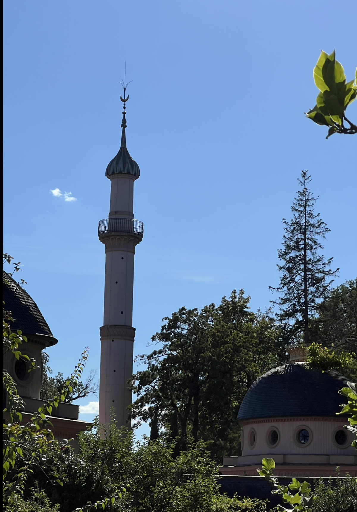 Erklärung ? @tiktok  #kurdistan 