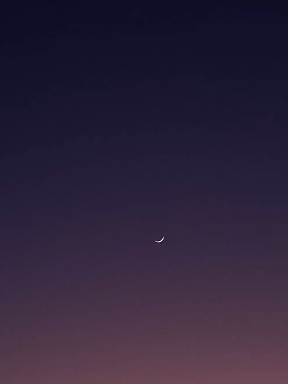 #senja #indiasong 