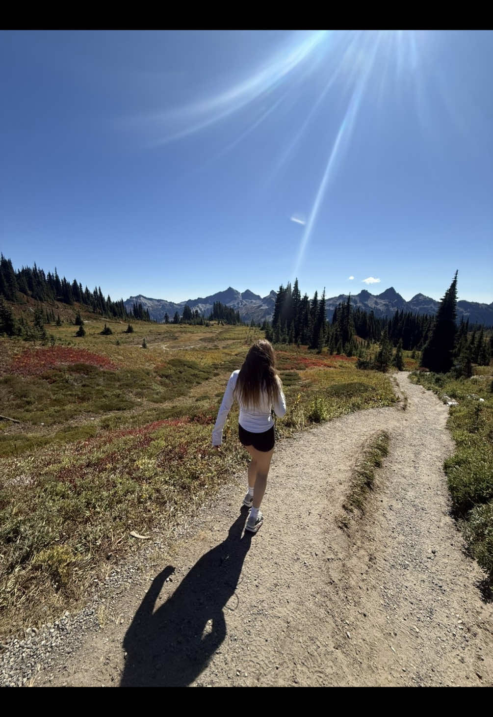 Traveling to Seattle  #fyp #thelastofus #seattle #mtrainiernationalpark #tlou 