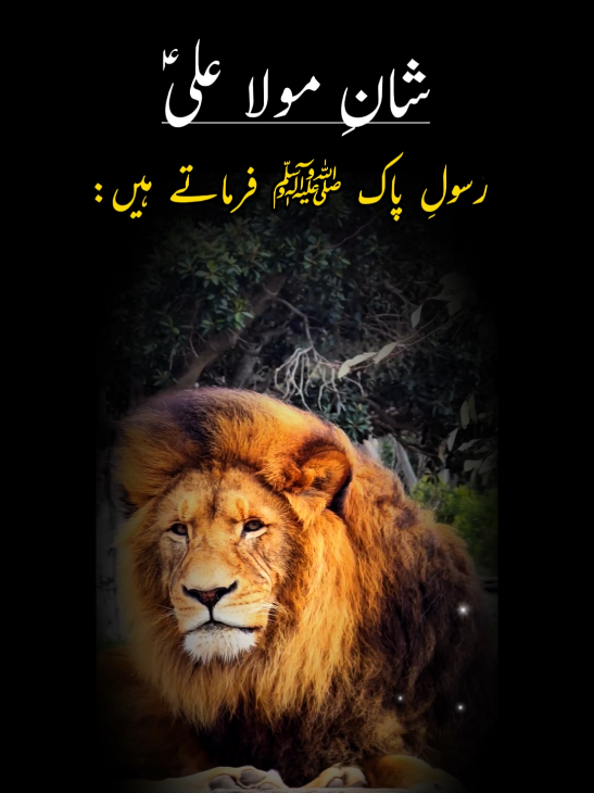 Shan E Mola Ali As | Hazrat Ali Status #foryou #trending #viral #fyp #foryoupage❤️❤️ 