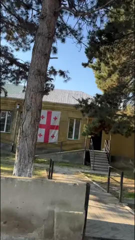 @Balibor #მონობორბალი 