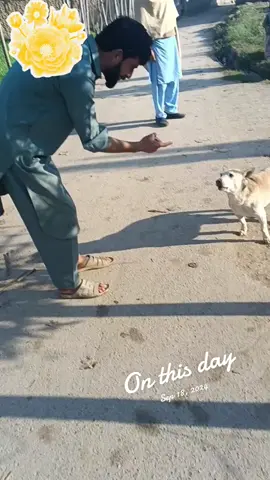 #onthisday #funnydog #funnyanimals 