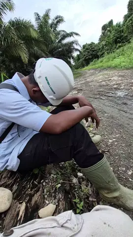 Molo Loja Modom, Molo Male Mangan. Molo Mangaratto tu Papua #fyp #fpyシ #planterstrickshot #planters #viralvideo 