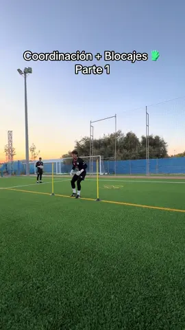 Coordinación + blocajes 🧤| Parte 1 @TWOFIVEGLOVES 🧤 #fyp #portero #futbol #goalkeeper #football 