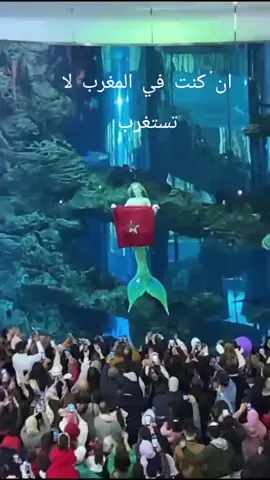 #موروكومول_ بمدينة _الدار_البيضاء_المغرب#livehighlights #tiktoklive #الشعب_الصيني_ماله_حل😂😂 #
