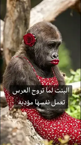 هههههههههه ههههههه ههههههه 