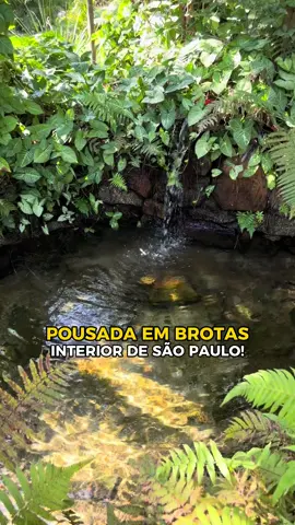 Pousada Belo Quinto em Brotas SP. Uma pousada no Centro Histórico da cidade e em meio a natureza preservada. O local é muito bem cuidado, e tem vários lugares instagramáveis! Além disso, eles tem uma fazenda onde são realizados os passeios de quadriciclos, por apenas 350 reais. Em comparação com outras pousadas, eles tem um valor bem acessível. Eles tem quartos duplos, triplos, quadruplo e para até cinco pessoas. Reservas (14)997164006 #hospedagembrotas #brotas #raftin #quadriciclos 