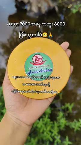 သနပ်ခါးက ကိုယ်တိုင်ကြိတ်တာမှို့‌ေဈးမတတ်ပေမယ့် ဘူးခွံဈေးတေက တောင့်မခံနိုင်တော့လို့ပါမမတို့ရေ🙏🥹 တထောင် လေး‌ေတာ့ တတ်ခွင့်ပြုပါနော်🙏🙏🙏🌿 ဘူးအကြီး 7000 ကနေ 8000 ဖြစ်သွားပီး/ဘူးသေး 4000ကနေ 4500 ဖြစ်သွားတာပါ တခြားဟာတေ မတတ်ပါဘူးရှင့်🥹🙏🌿 #ဖြိုးသနပ်ခါး #ဆန်ကော်လာဂျင်သနပ်ခါး #ဖြိုးရွှေဘိုသနပ်ခါးရောင်း၀ယ်ရေး #fyp @Phyo Wai Aung 248 