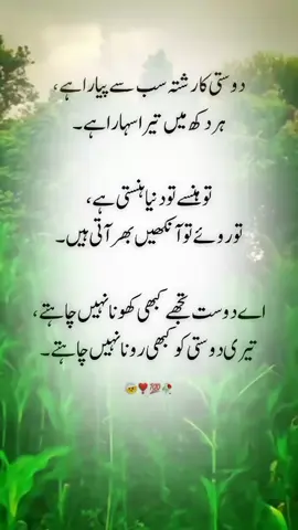 #urdupoetry #allahmduliilah_for_everthing❤️ #foryoupage #explorepage✨ 