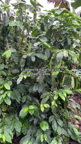 #caficultores #parariiiiiiiiiiiiiiiiiiiiiiiiiiiiiiiiii 