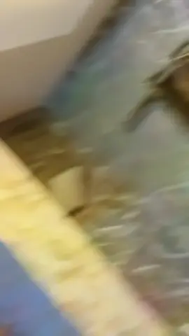 #sindhisong #viral #fyp #viralvideo #TikTok #tiktokgrowmchallange #sindhi #dance @Alina khan 🌸 
