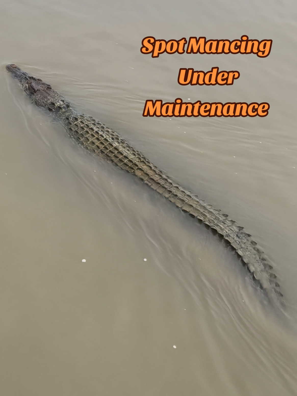 spot mancing sementara under maintenance  #mancing  #mancingmania  #mancingliar 