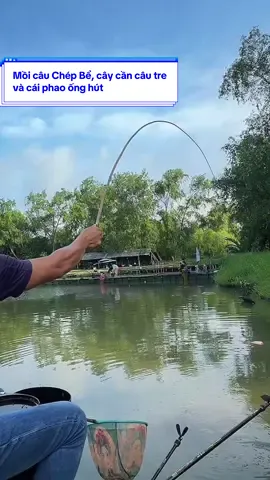 Mồi câu chép bể, cây cần câu tre và phao ống hút #duyfishing #moicauca #moicaucachep #moicachep #moichepbe 