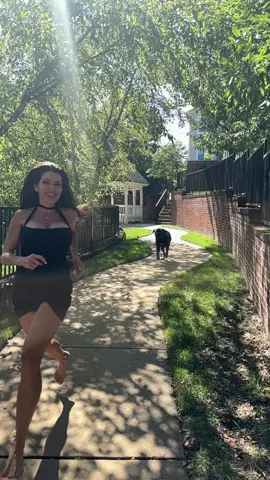 Aww that's cool, the bird is in slow-mo