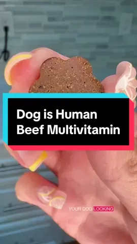 How to keep your dog healthy 🐾 Looking healthy is exactly why I care about what I’m giving my dogs every day. This beef multivitamin supports their joints, gut, skin + coat, immune and heart health. I’d rather make it part of their routine now than wait for something to change. #doghealth #dogwellness #dogvitamins #dogsupplements #dogishuman  how to keep my dog healthy how to support my dogs health healthy dog routine daily dog wellness routine daily supplements for dogs dog vitamins for overall health dog nutritional support dog joint health dog gut health dog skin and coat health dog immune health dog heart health dog multivitamin daily multivitamin for dogs beef multivitamin for dogs dog is human multivitamin dog is human beef multivitamin
