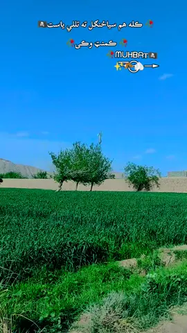 🥀 🥀 دا ویډیو ښه سمه مخته ویسۍ🏴‍☠️ 