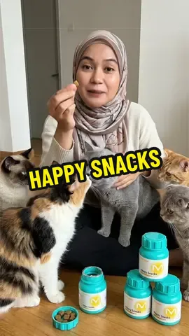 #kucingstress #kucingbadmood 