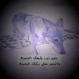 اختارو 1ابقه عل ميمز🔹 2-ارجع للتصاميم🔹 #بروين👑 #pubgmobile #foryoupage #fyp #foryou 