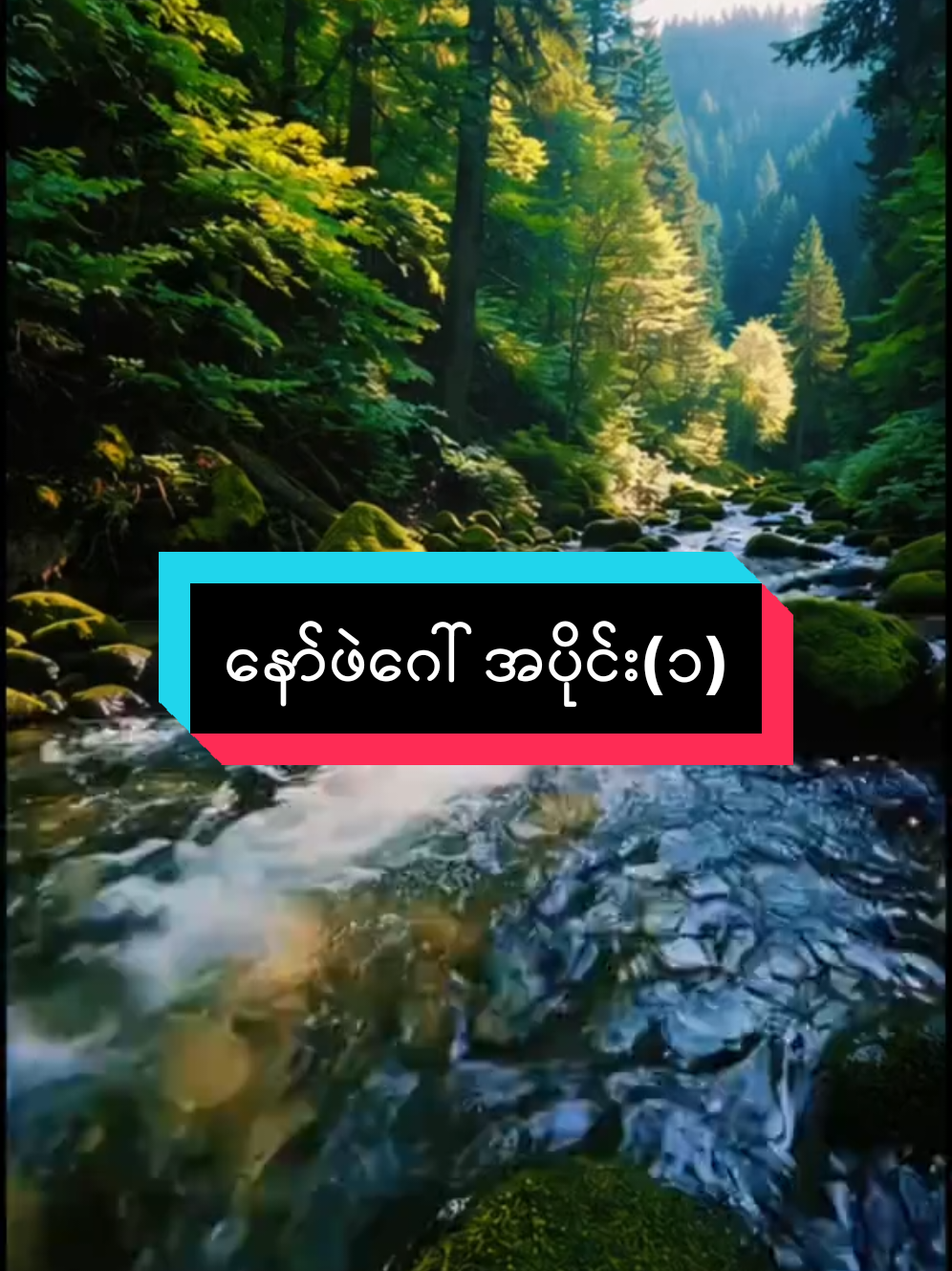 #နော်ဖဲဂေါ်  #karens #ကရင်လူမျိုး🇱🇺😘🖤 #karenmovie #နမ့်မိန်းဖောင်ဝေါင်း 