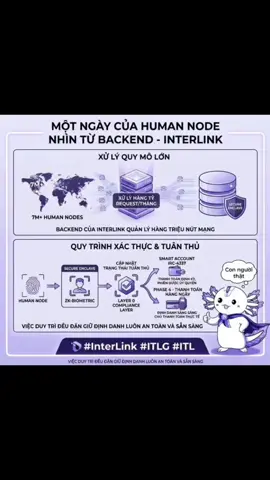 Sách trắng Phase 1 cho biết backend xử lý hàng tỷ request mỗi tháng từ hơn 7 triệu Human Nodes. Mỗi lượt duy trì không chỉ xác thực bạn là người thật duy nhất qua ZK-biometric trong Secure Enclave mà còn cập nhật lớp tuân thủ Layer 0. Nền tảng này hỗ trợ Smart Account IRC-4337 thực hiện thanh toán định kỳ và phiên ủy quyền an toàn, giúp định danh luôn sẵn sàng cho Phase 4 thanh toán hàng ngày. #InterLink #ITLG #ITL ⚠️ Lưu ý: Bài viết chỉ chia sẻ kiến thức công nghệ cộng đồng, không phải tư vấn tài chính hay lời khuyên đầu tư.