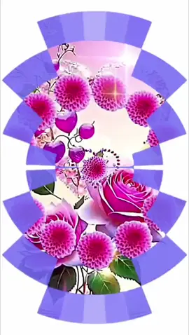 #🌹🌹🌹🌹🌹 #