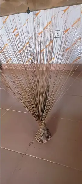 broom is sacred 