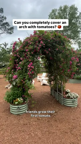I love how Vego’s trellis options can bolt right onto the raised beds because they are so sturdy.  This arch trellis provides an insane amount of vertical growth in a small space while still looking nice!  Discount Code REALFARMERJEFF5 can save you 5% on any Vego Garden Products.